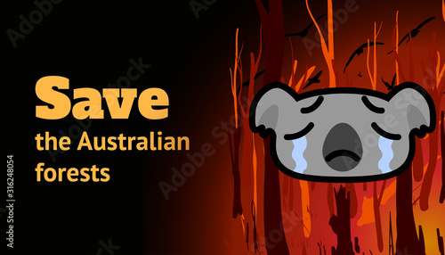 Banner with a burning forest, koala and the inscription Save the Australian Forests. Cartoon vector illustration