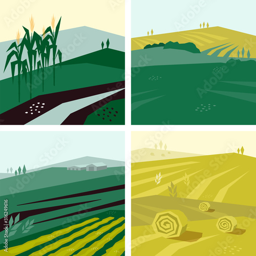 Vector illustrations with farm land, corn or crop field, hayfield and agricultural building. Set of agri backgrounds. Design with landscape for agriculture or farming. Backdrops for flyer, banner, web