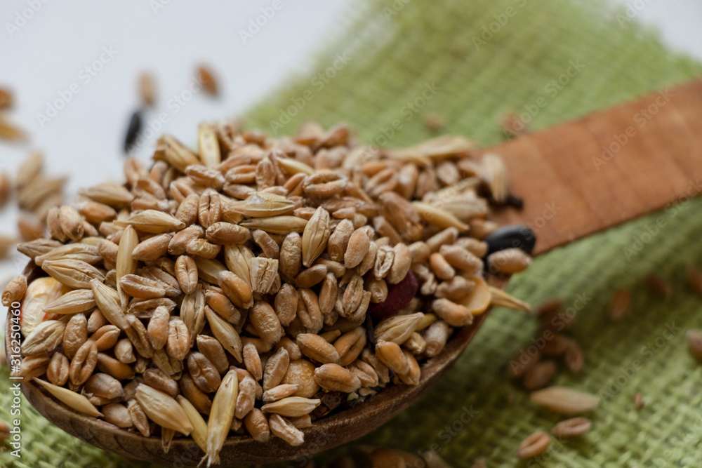 Obraz premium Wooden spoon. The cloth. White background. Barley. Millet. Corn. Mixed cereals. Green.