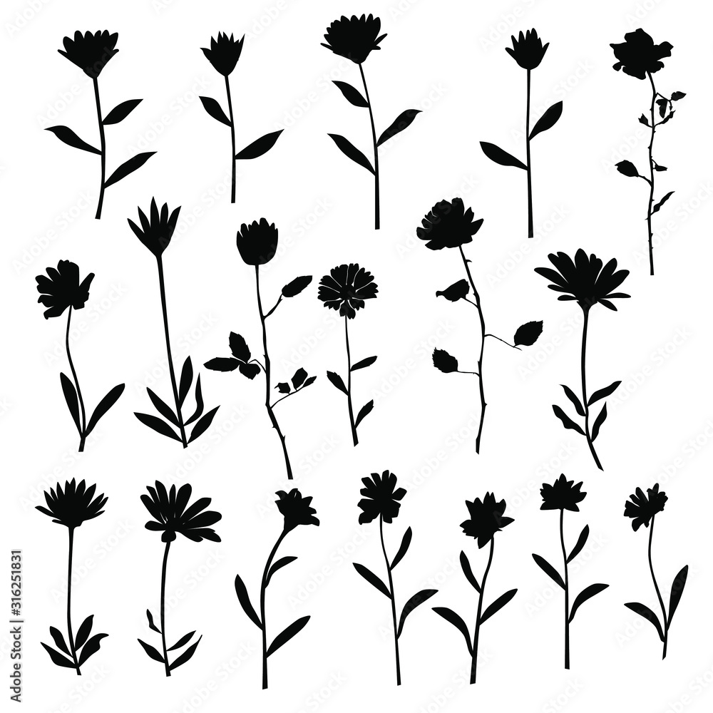 Set of silhouette flowers rose, daisy, chamomile, spring and summer forest and garden field flower, black color isolated on white background