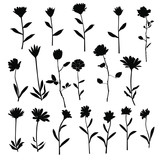 Set of silhouette flowers rose, daisy, chamomile, spring and summer forest and garden field flower, black color isolated on white background