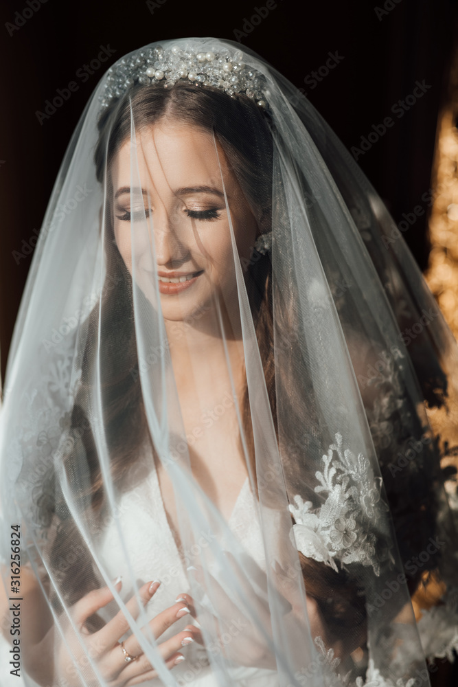 Elegant, brunette bride in white dress posing under veil closeup. Bride portrait wedding makeup and hairstyle with crown, fashion bride. Beautiful bride in veil. Wedding. Elegant, brunette bride in white dress posing under veil closeup. Bride portrait wedding makeup and hairstyle with crown, fashion bride. Beautiful bride in veil. Wedding.