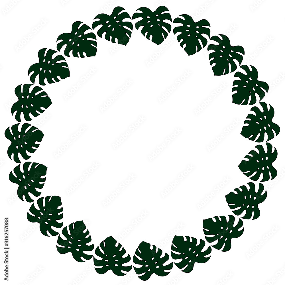Round frame of vertical dark leaves of monstera on white background. Isolated frame for your design.
