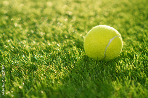 Soft artificial grass background with tennis ball, copy space