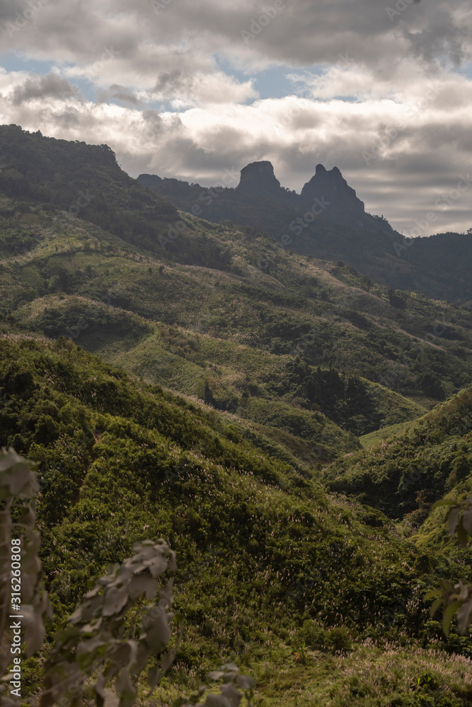 Fototapeta premium Terraced Rice Fields, Laos