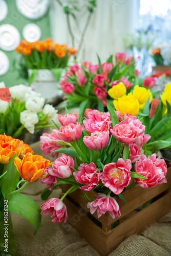 Wallpaper Mural Fresh spring  colorful  tulip flowers. Lot of multicolored tulips bouquets.  Hello Spring and  Woman day concepts Torontodigital.ca