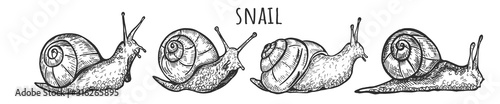Kawaii funny snails character set