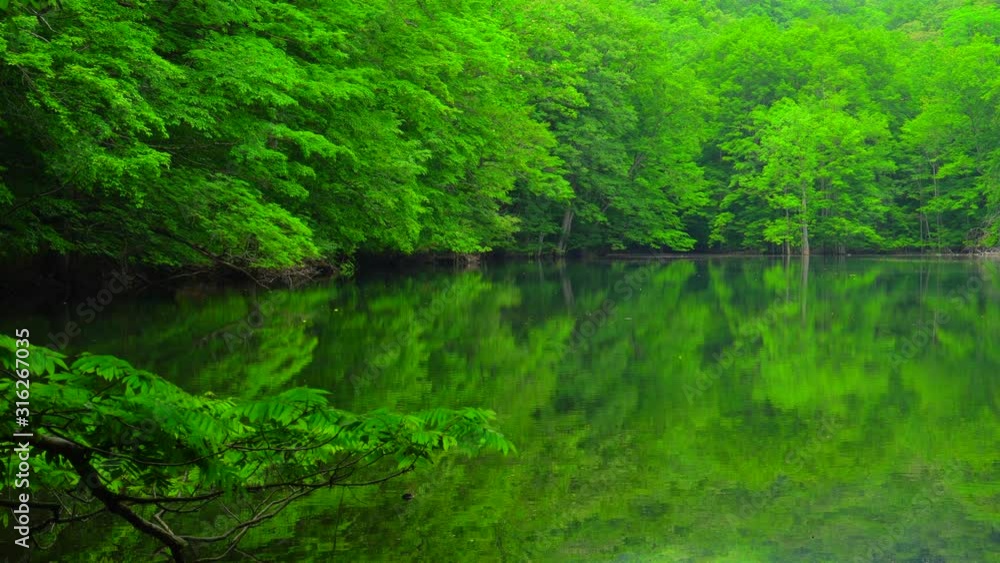 Naganuma Pond in Aomori, Japan Naganuma Pond in Aomori, Japan