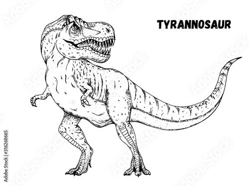 Tyrannosaur dinosaur hand drawn sketch. Vector illustration. Carnivorous dinosaur