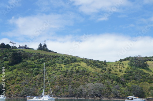 Wallpaper Mural New Zealand Waiheke Island Torontodigital.ca