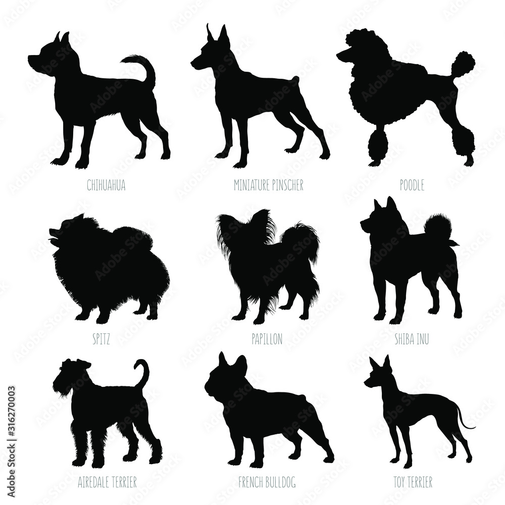 Small dog breeds silhouettes set. High detailed, smooth vector illustration