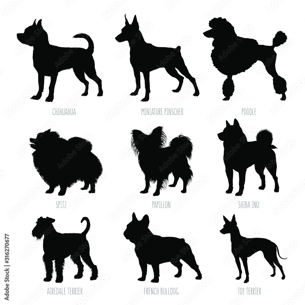 Dog breeds silhouettes set. High detailed, smooth vector illustration