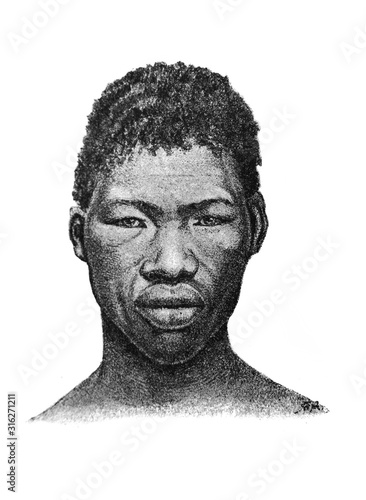 The illustration of the african man in the old book die Anatomie, by Fr. Merkel, 1885, Braunschweig