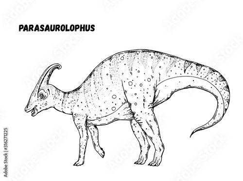 Parasaurolophus dinosaur hand drawn sketch. Vector illustration. Herbivorous dinosaur.