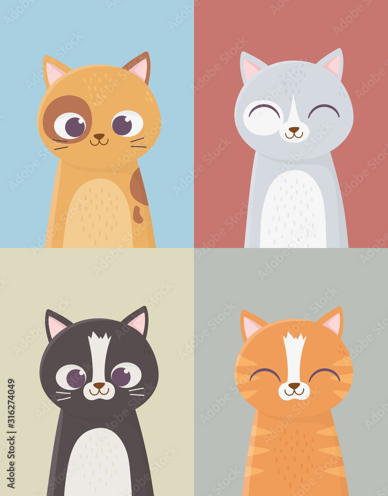 pet cats domestic feline characters set cartoon pet cats domestic feline characters set cartoon