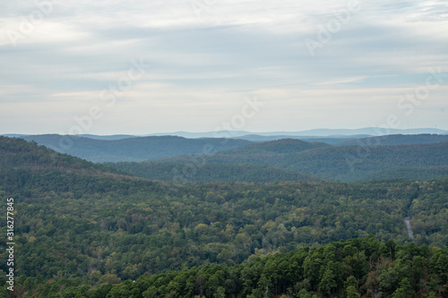 Forrest in Hot Springs National Park, Arkansas.