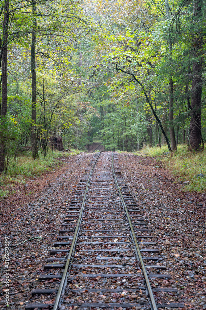 Fototapeta premium Trees line the waterways of Broken Bow, Oklahoma. 
