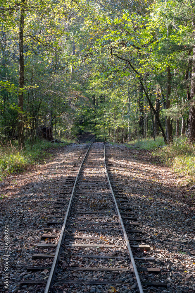 Railroad tracks run through the woods in Broken Bow, Oklahoma. Railroad tracks run through the woods in Broken Bow, Oklahoma.