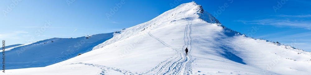 ski tourer snow shoe hiker climbing the mountain, blue sky sunny