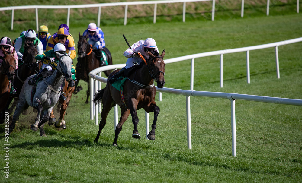 winning race horse and jockey taking the lead, galloping towards the finish line winning race horse and jockey taking the lead, galloping towards the finish line