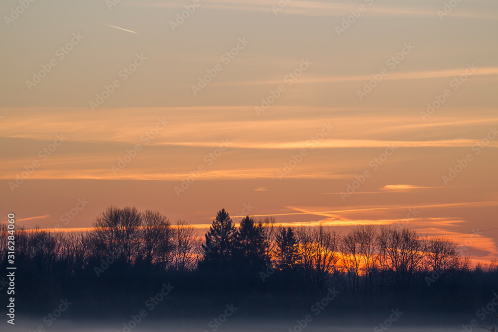 colorful sunrise over the edge of the forest