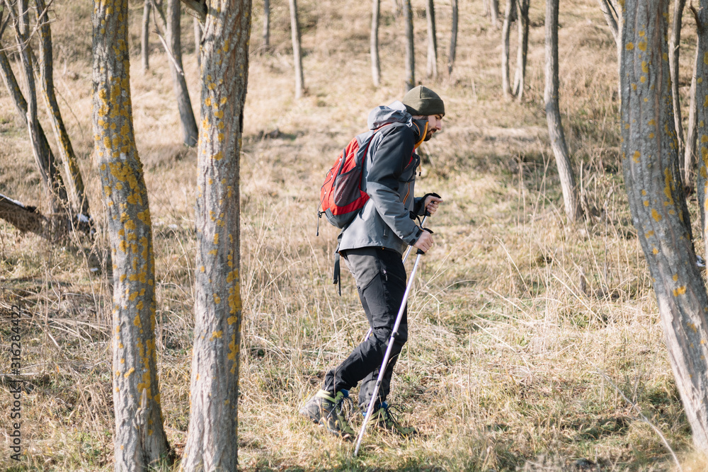 Naklejka premium Healthy man with hiking equipment walking in mountain forest