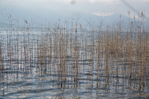 Wallpaper Mural lake mood Torontodigital.ca