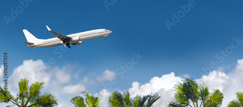 White airplane flying above the palm trees.