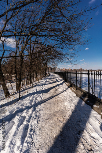 Central Park New York