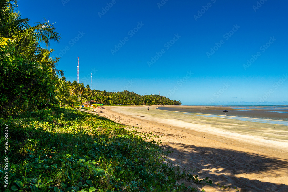 Beaches of Brazil - Ponta de Mangue Beach, Alagoas