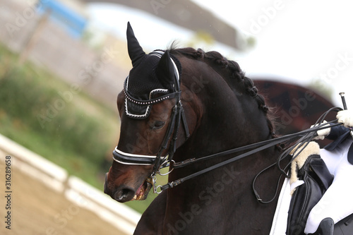 Unknown contestant rides at dressage horse event in riding ground outdoors