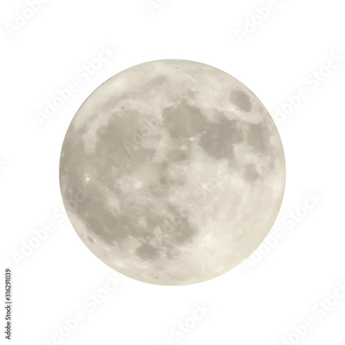 realistic vector of full moon