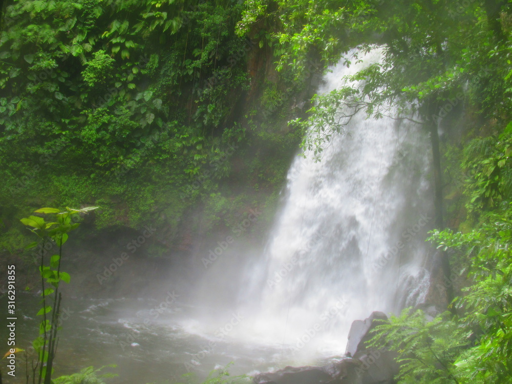Une puissante cascade dans la luxuriante forêt tropicale Une puissante cascade dans la luxuriante forêt tropicale
