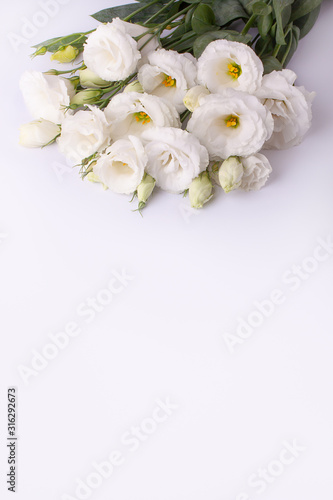 Gentle eustoma flowers on a white paper background.