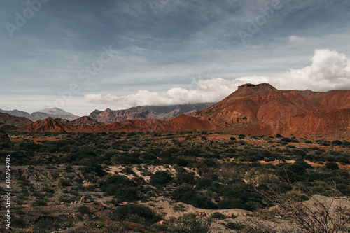 stone formation with a mountain in the background in a cloudy day