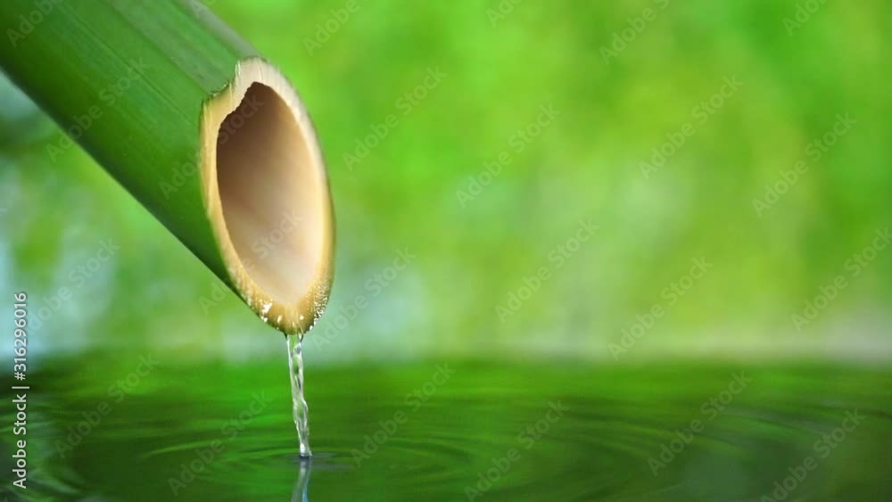 竹から大量の水 – 竹から採取できる水 – QBPSBG