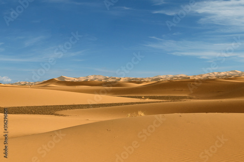 sand dune in the sahara desert 