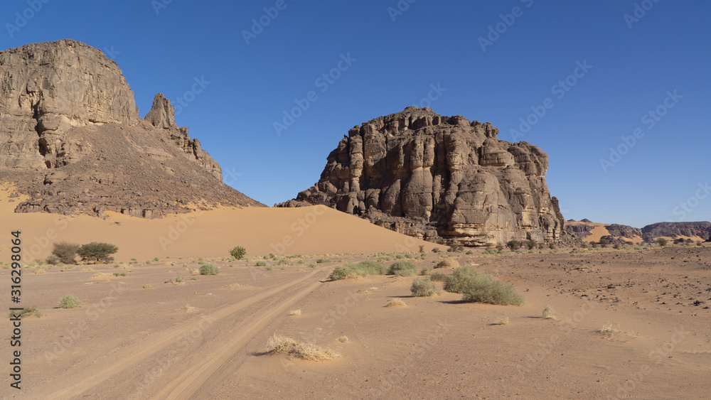 Landscape of Sahara desert