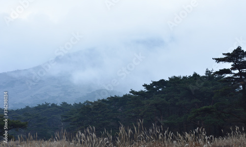 cloudy day at Kirishima, Japan