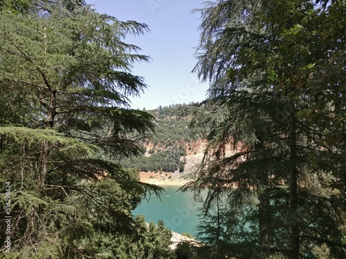 lake in deep forest