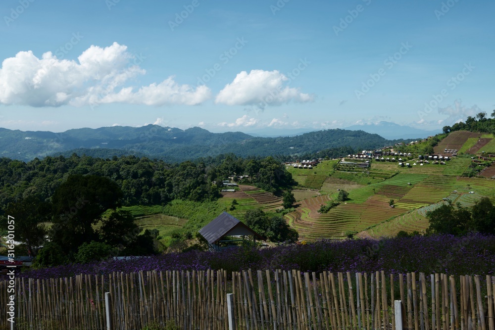 wonderful springtime landscape in mountains. grassy field. rural scenery, Mon Jam Mountain, Chiang Mai Thailand