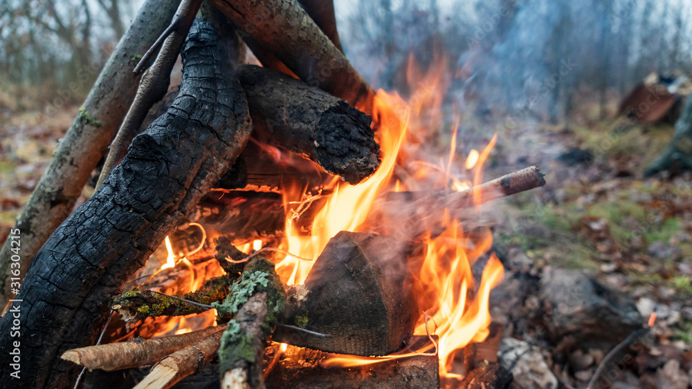 Bonfire. Orange flame of a fire. Burning birch tree in the fireplace. Flame background. Bonfire. Orange flame of a fire. Burning birch tree in the fireplace. Flame background.