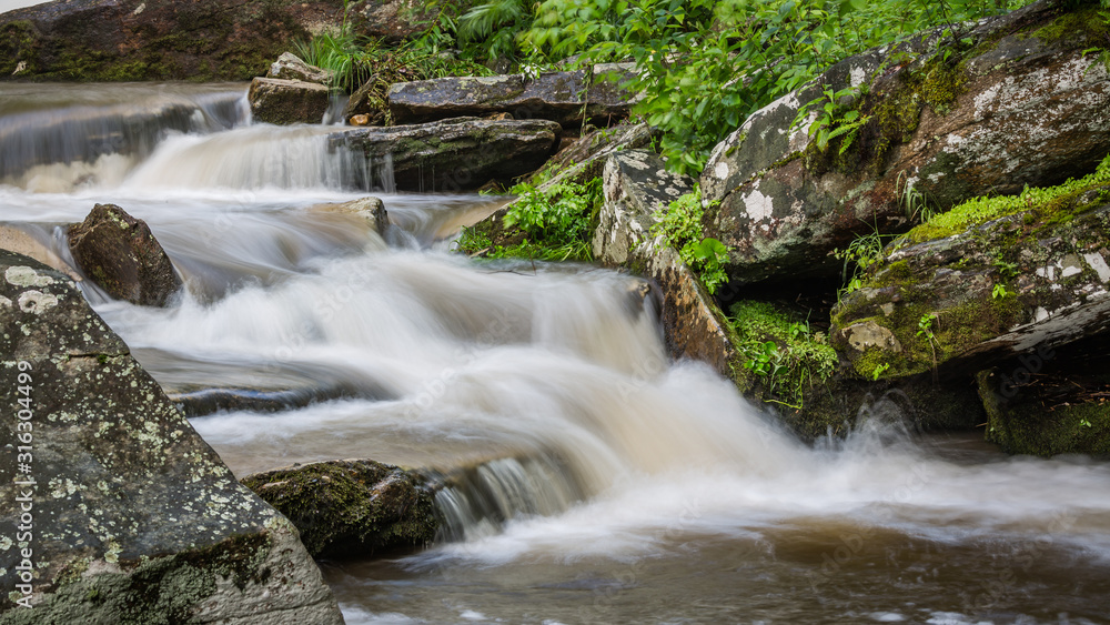 Mountain stream cascade flows through forest Mountain stream cascade flows through forest