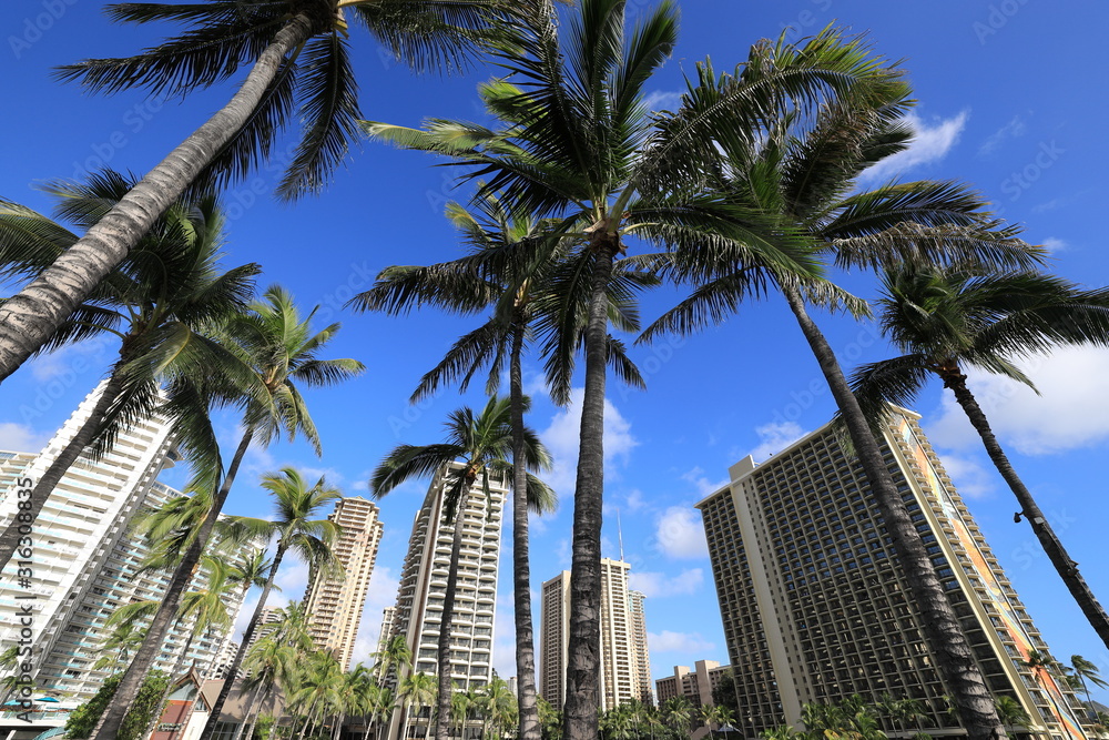 Fototapeta premium ハワイ、ワイキキビーチのスナップショット