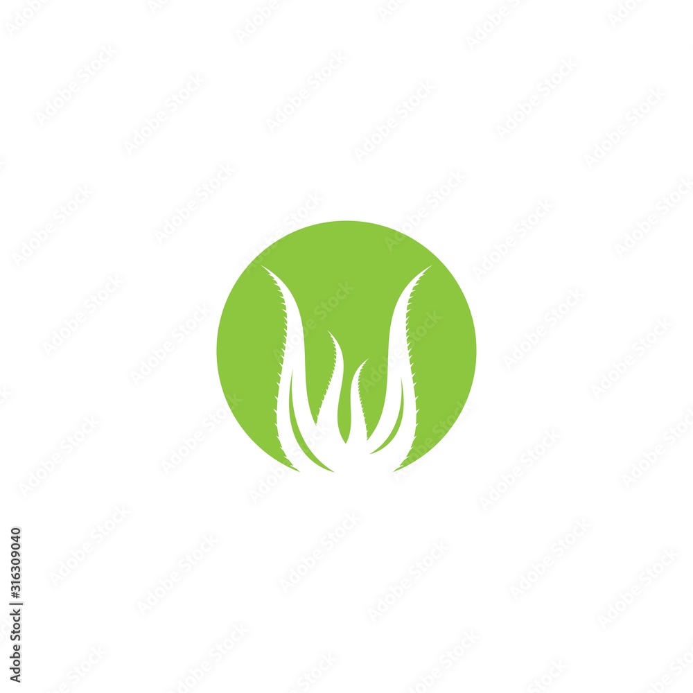 Aloevera logo template vector icon design Aloevera logo template vector icon design