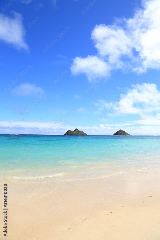 Fototapeta premium ラニカイビーチの’景色、ハワイ