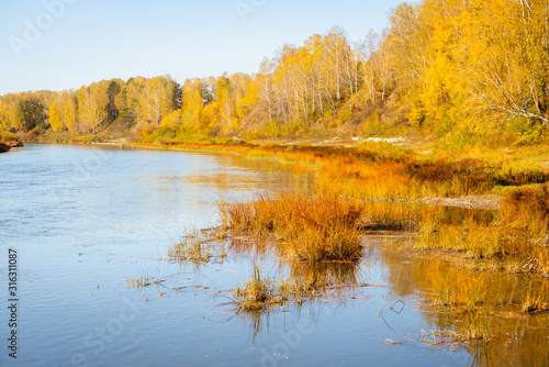 Beautiful river in sunshiny morning. Autumn landscape.