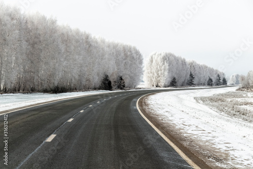 Highway among trees covered with thick hoarfrost. © sv_production