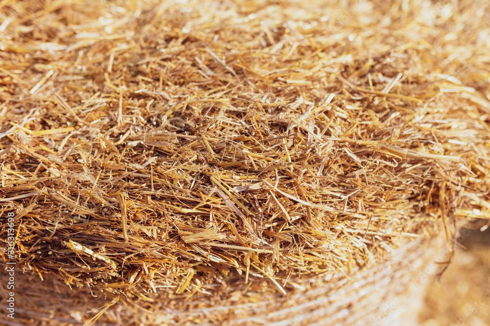 Naklejka premium Stack of dry hay as an abstract background