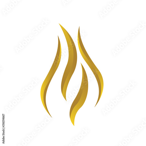gold fire flames logo vector design icons elements